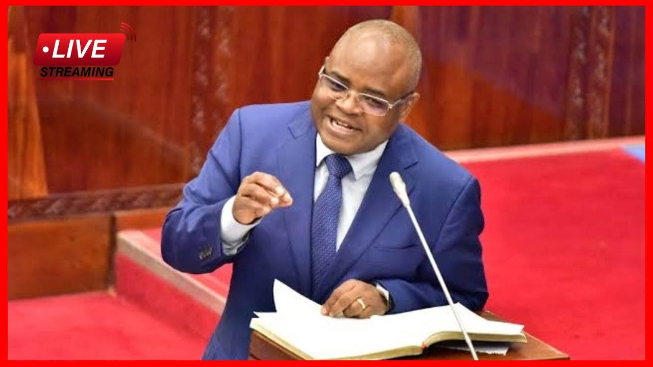 🔴LIVE: BUNGE LIMESIMAMA, PROF. KITILA MKUMBO ANASHUSHA NONDO NZITO ZA MPANGO MUDA HUU