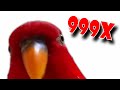 Red bird meme speed 999x  edit