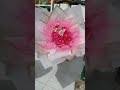 pinky round buket #bouquet #craft #diy #fyp