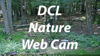 DCL Web Cam (05/13/2024)