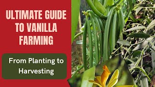 Ultimate Guide to Vanilla Farming: From Planting to Harvesting