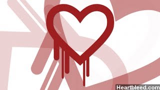 Programmer Behind Heartbleed Bug Speaks Out