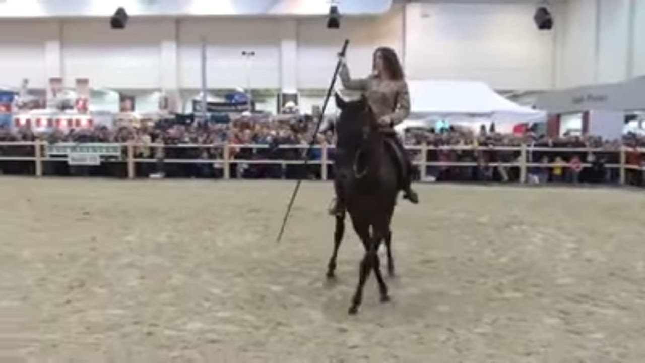 Kenzie Dysli - Garrocha - Doma Vaquera 2013