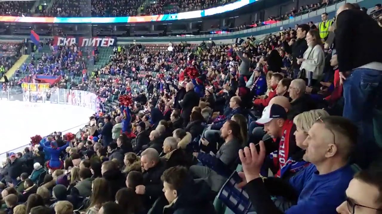 Ледовый дворец 201 сектор Ледовый дворец 201 сектор