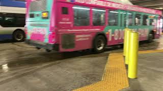 Sound Recording Miami-Dade Transit: 2014 Gillig 40' BRT Hev Hybrid #14110 On Route 9. 