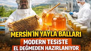 Mersinde Doğal Balın Teknoloji Ile Dönüşümü Modern Tesiste Üretim