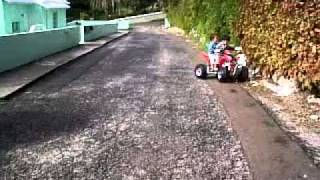 VID%2000172-20101209-1042