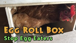 Stop Egg Eaters Chicken Egg Roll Box