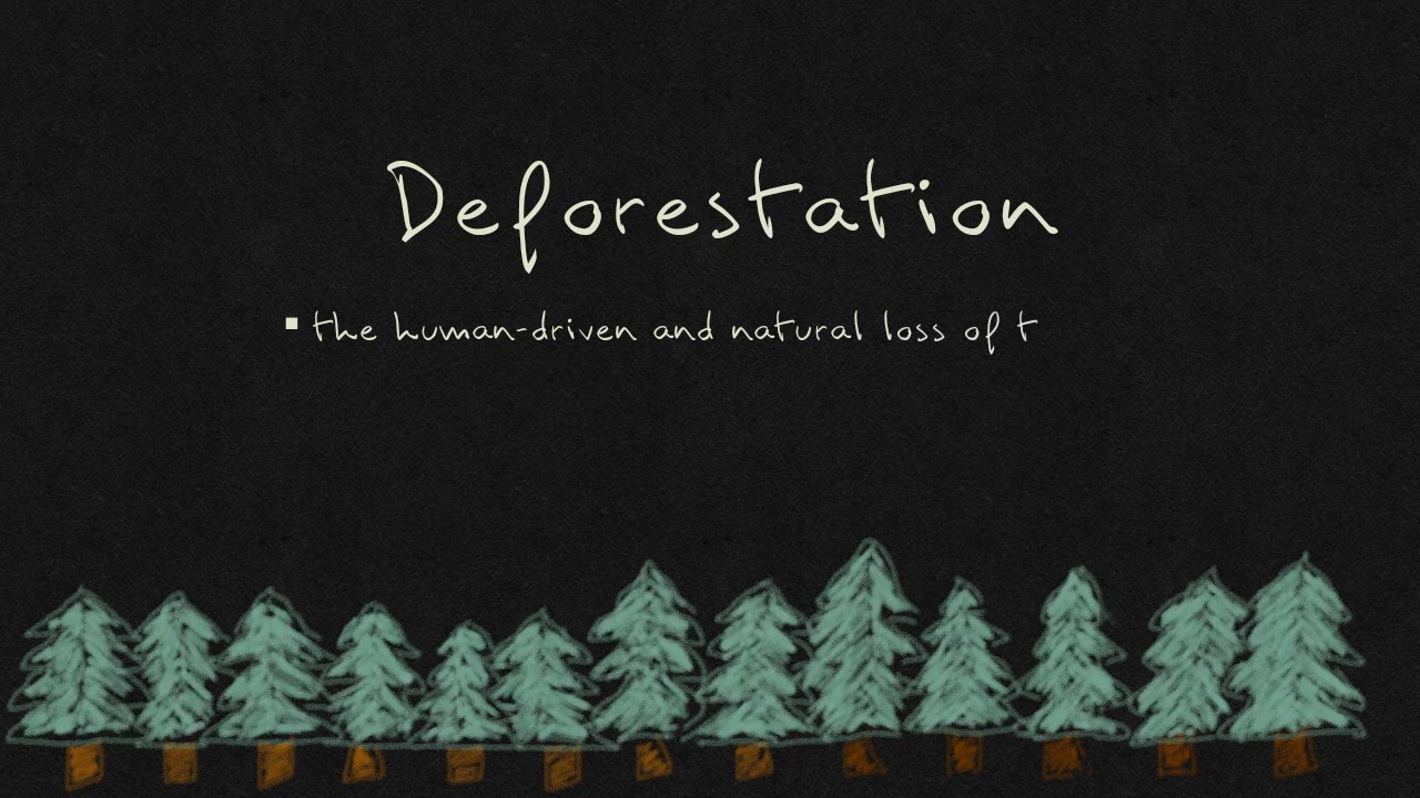 Environmental Rhetoric: Deforestation - YouTube