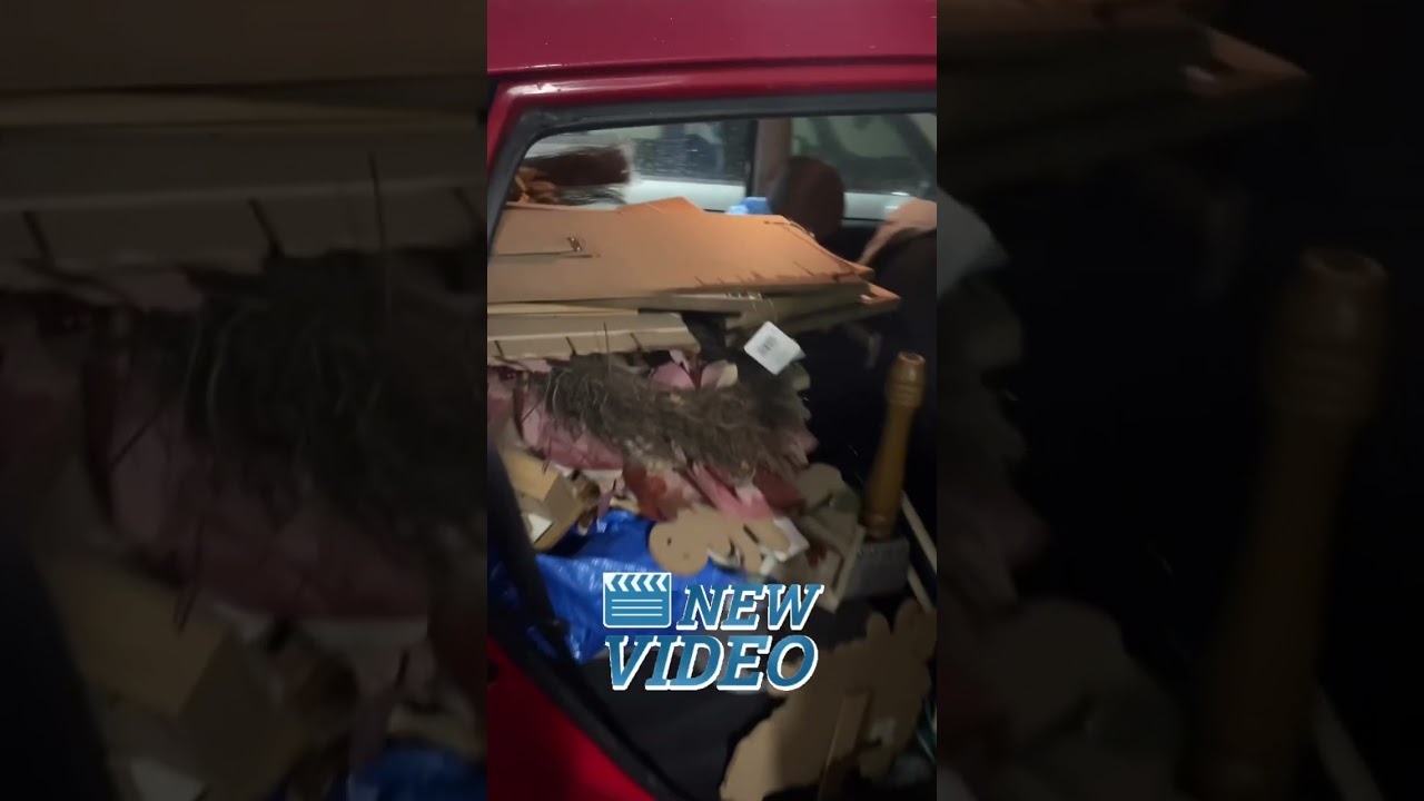 Dumpster diving at Michaels… in the rain! 🌧️😱Insane score! 