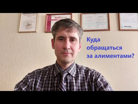 Алименты 2022. Куда обращаться за алиментами?