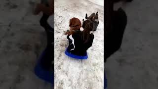 Louis The Cavador Winter Olympics