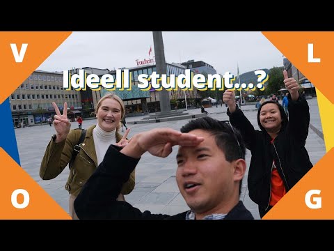 Hva er en ideell student? | StudentVlogg