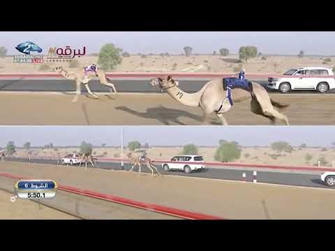 ش6 شديد ل الشيخ نهيان بن ذياب بن سيف آل نهيان تأهيل المرموم الأسبوع 4 24 10 2022ص ثنايا قعدان