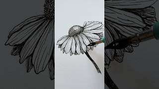 Dip Pen Flower Drawing  #shorts #asmr #flowerdrawing #dippen #inkdrawing #flowerart #artwork #art