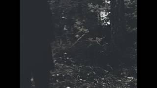 Brainbombs | Disposal Of A Dead Body LP [full]