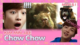 Lol Kim Minjaes Chow Chow Care
