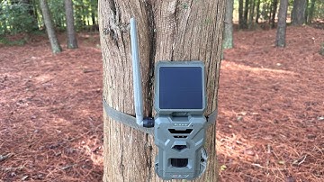 Spypoint Flex S Solar Panel Trail Camera review. #spypoint #trailcam #hunting