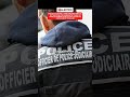 Enquête ouverte à Saint-Nazaire après qu'une collégienne ait mis fin à ses jours.