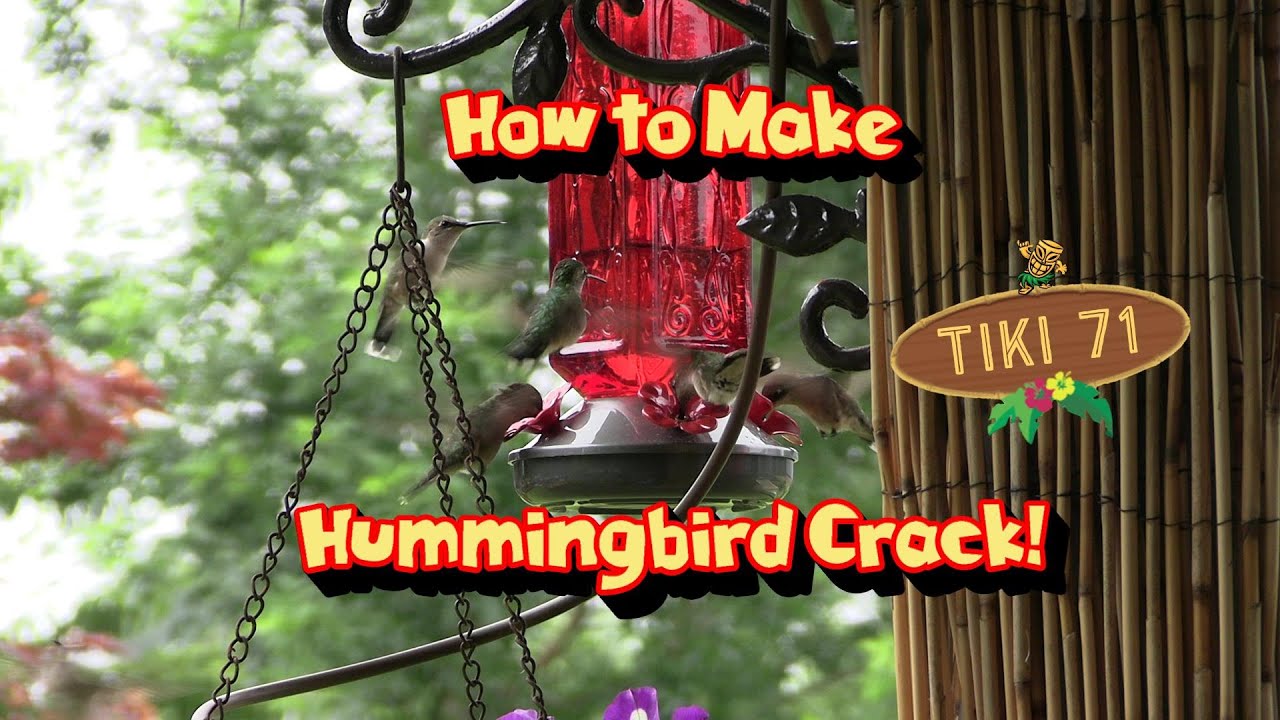 How to Make Hummingbird Crack! + Feeding Frenzy Video #Hummingbirds ...