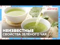 Неизвестного СВОЙСТВА ЗЕЛЁНОГО ЧАЯ | Доктор 24