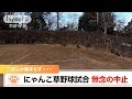 『にゃんこ草野球試合 二匹しか集まらず 無念の中止』