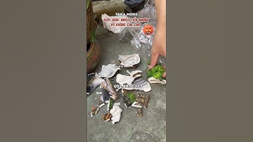 Địa chỉ bán hòn non bộ mini Taka home | Thế Kế Nội Thất Taka Home 02