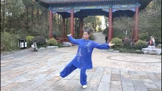 鹰潭余江马鞍岭的山顶上,演练陈式老架一路下半段!