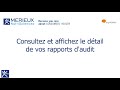 Tutoriel 6  je consulte mes audits