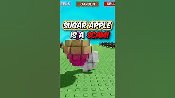 Is the New Sugar Apple Worth it? 🤔#growagarden