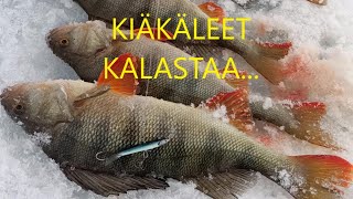 Kiäkäleet kalastaa... eli pilkkimistä Inarilla.