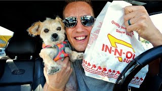 FAST FOOD OK FOR DOGS?!