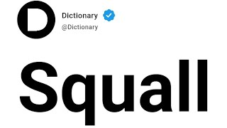 Squall Meaning In English