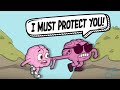 Understanding the Brain and Trauma