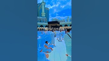يَوْمَ يَتَذَكَّرُ الإنْسَانُ مَا سَعَى | سورة النازعات تلاوة هادئة تريح القلب #القرآن_الكريم