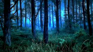 Звуки ночного леса: пение птиц, сова, сверчки, ветер, кукушка. Sounds of the night forest.