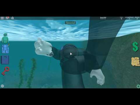 Full Download Roblox Scuba Diving At Quill Lake How To Get The - download roblox scuba diving at quill lake celtic necklace quest