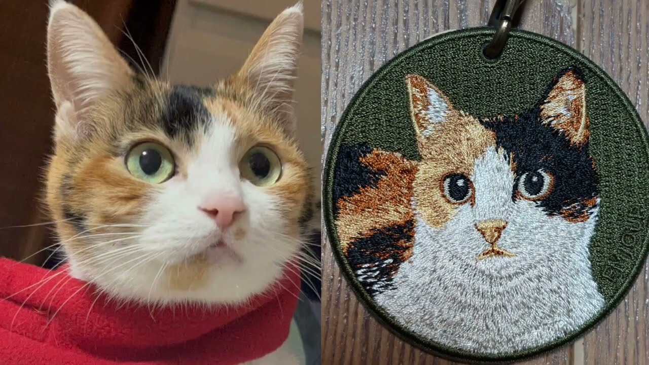 【2月22日】猫の日😺雑貨屋さんで三毛猫グッズを購入しました！