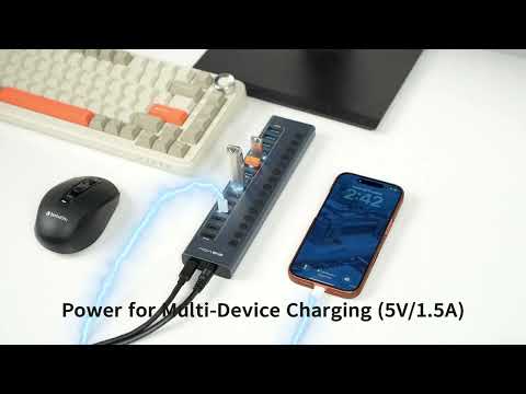 Acasis 16 Port USB C Hub 10Gbps Powered | USB 3.2 Hub for Multiple Devices (8 USB-A + 8 USB-C)