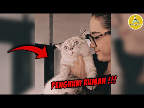 PENAMPAKAN HOROR TEREKAM KAMERA | VCS 61