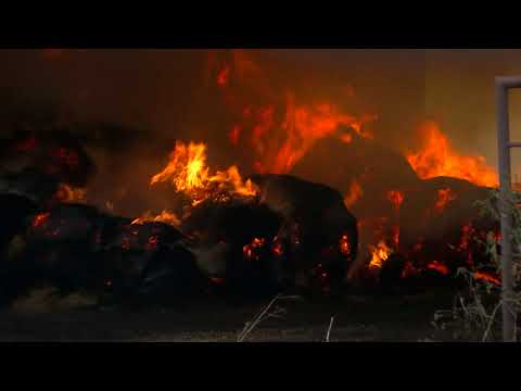 Firefighters battle fire in Jeff Davis Parish