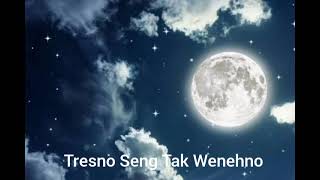 Sak Jembare Segoro  Sondang Agrifta (Lirik)