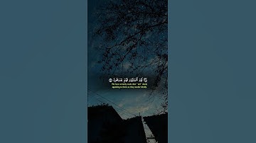 #تلاوة #قرآن #تلاوة_خاشعة #قران_كريم #اكسبلور