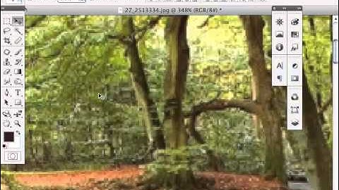 How to use Navigate panel in photoshop cs4