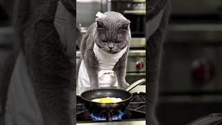 #viral #food #trending #streetfood #cat #catshorts #catvideos #cat #catlife