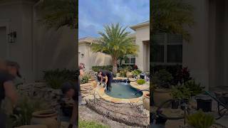 Luxury Palm Tree Pond Transformation#DIY #craft #craf #growaccount #treanding