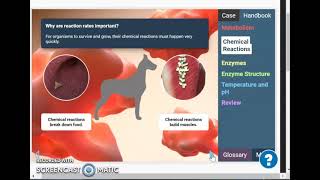 enzyme gizmo part A