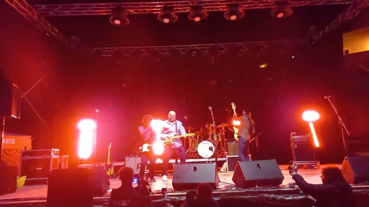 Paul Collins - Don't Wait Up for Me