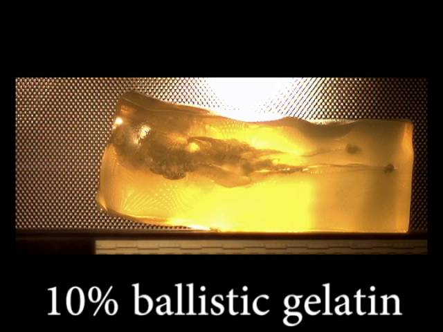Clear Ballistics Head 10% Ballistic Gel