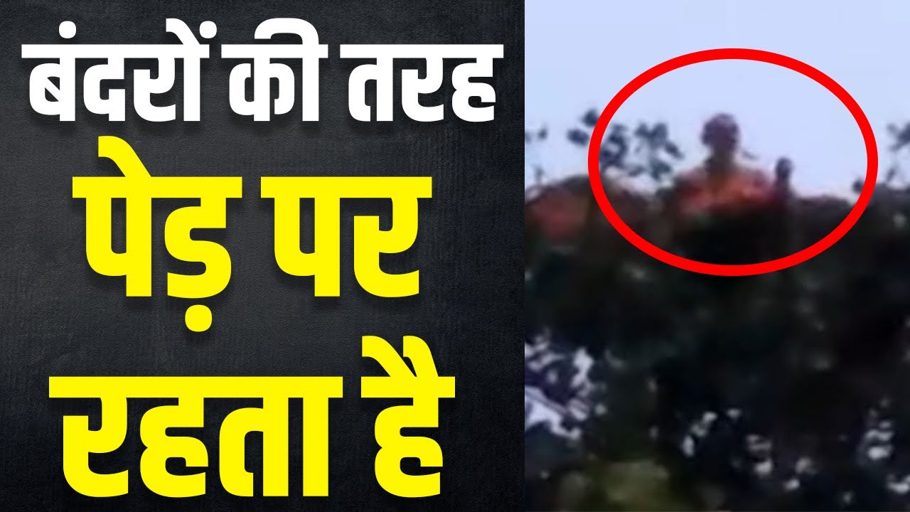 UP के 'बंदरिया बाबा' से पुलिस परेशान, पेड़ पर ही गुजारते हैं दिन और रात